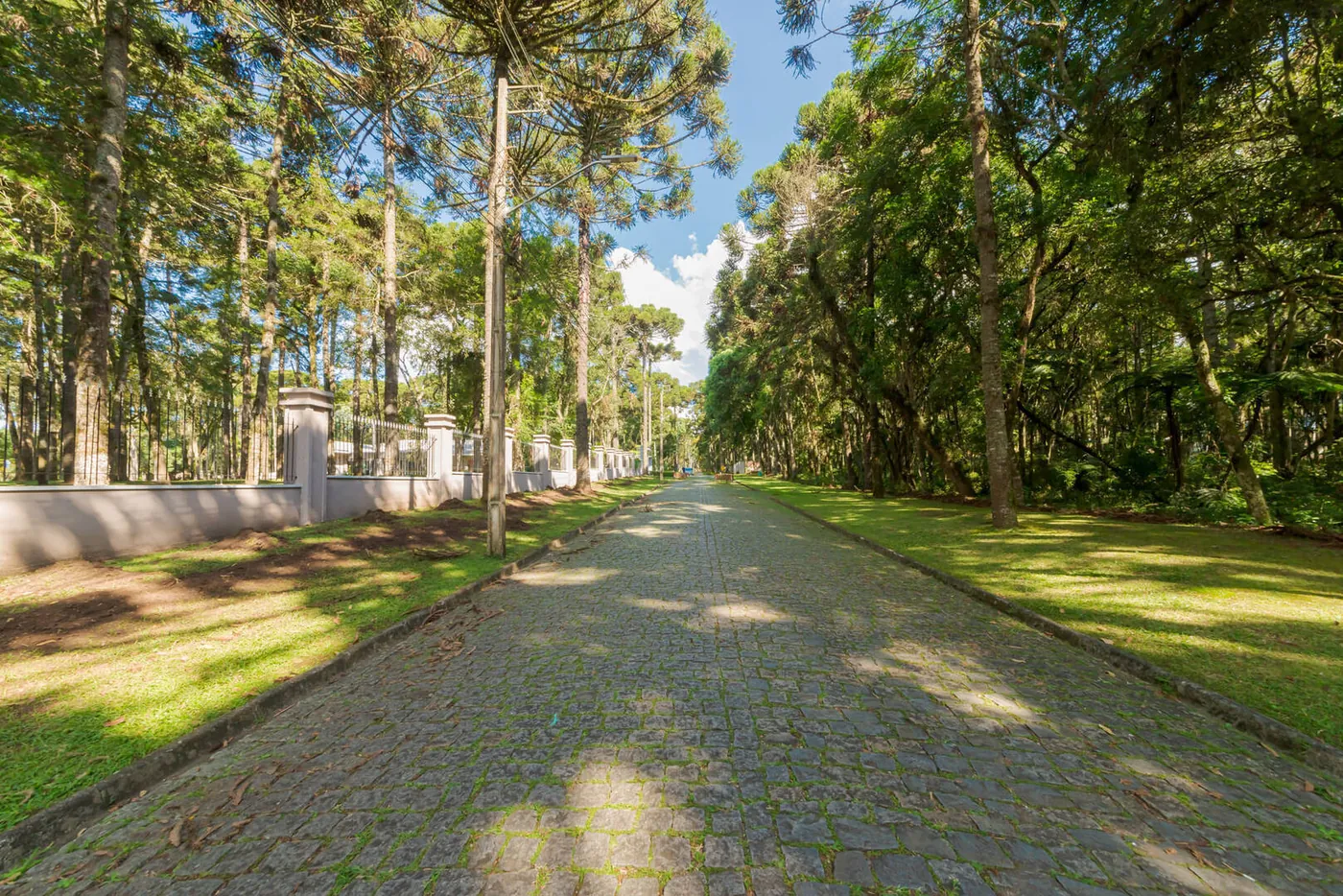 Alameda interna do Condomínio O Recanto